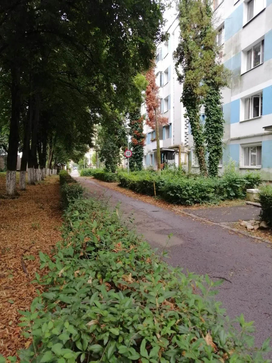 Image 6 of AMM Apartament Grigorescu