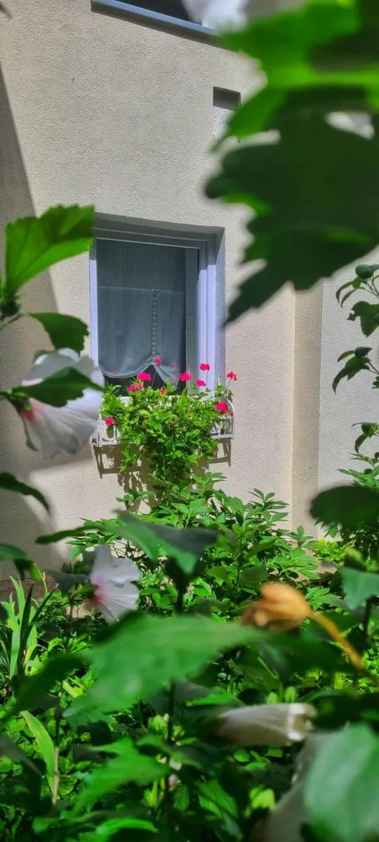 Image 4 of Anna’s Guesthouse