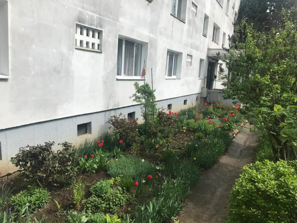 Image 5 of Apartament Colina