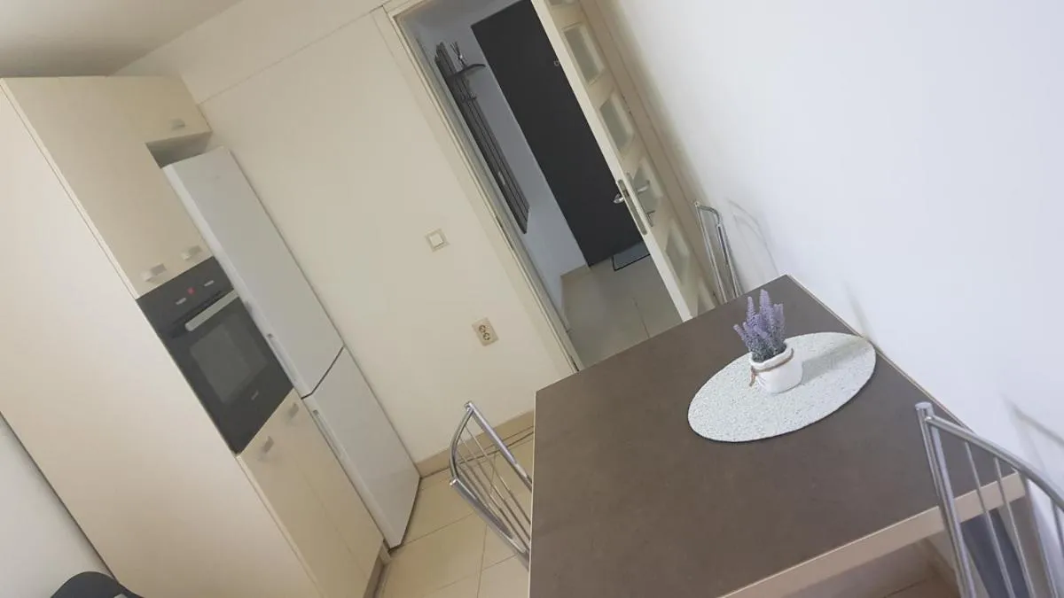 Image 6 of Apartament La Seu