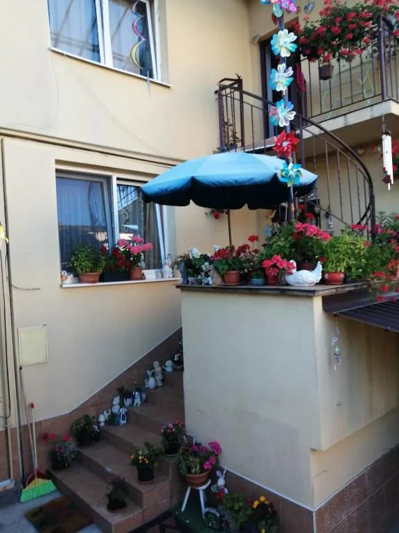 Image of Apartament cu doua camere și grădină