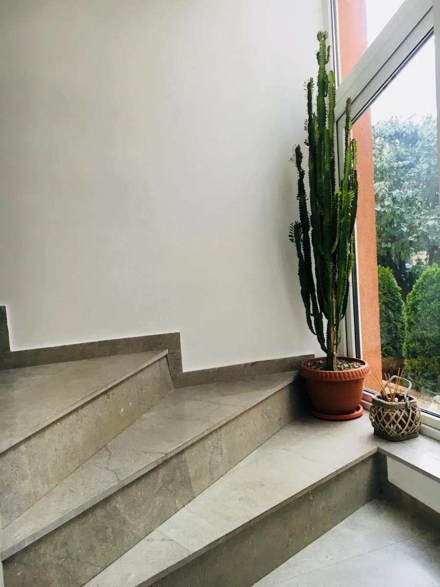 Image 4 of Bruno Apartment