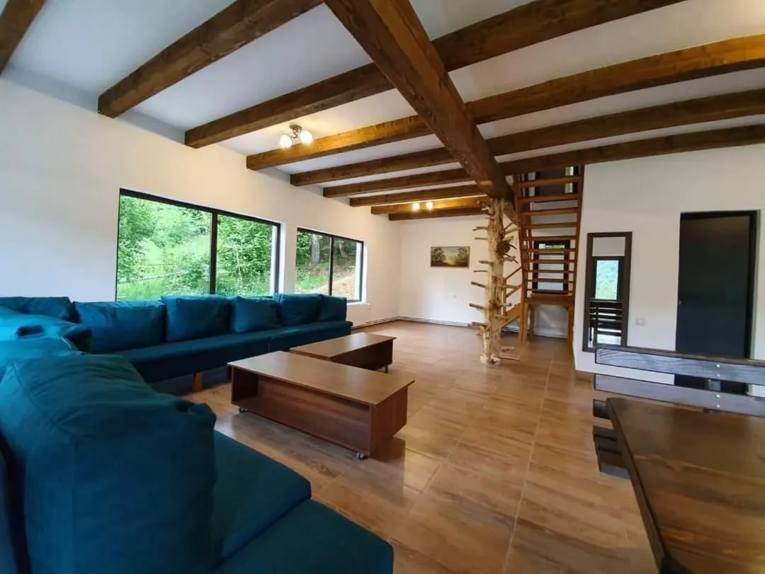 Image 2 of Cabana Nicorici