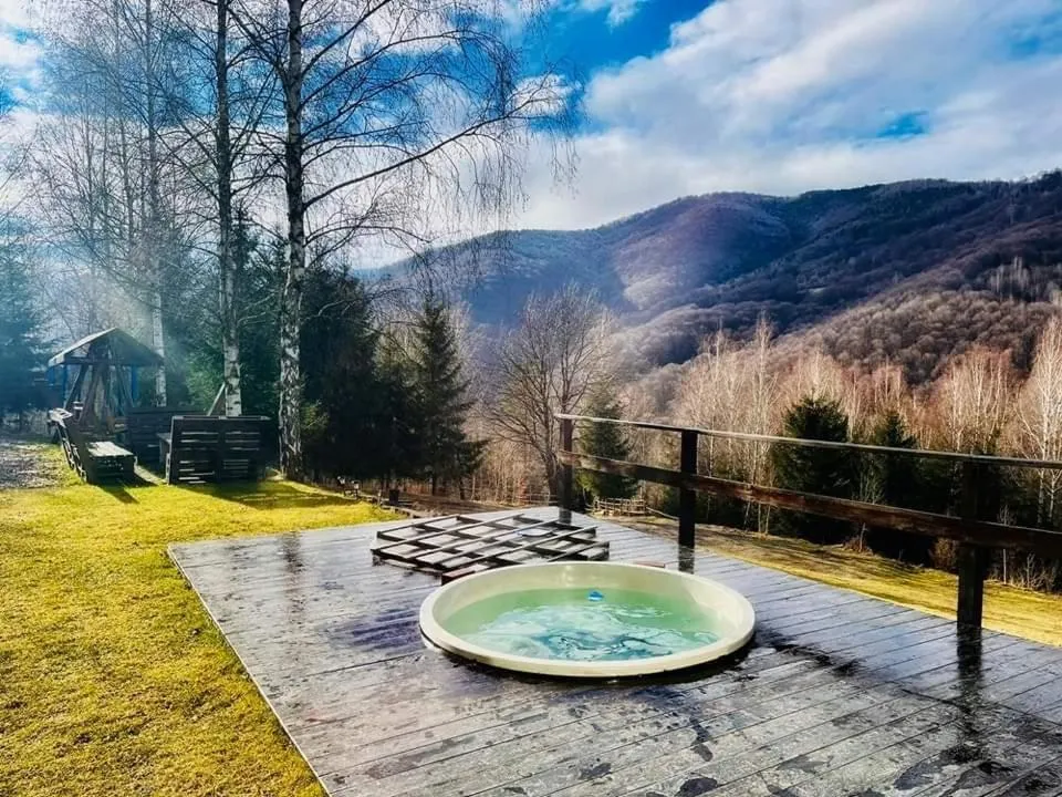Image 4 of Cabana Nicorici