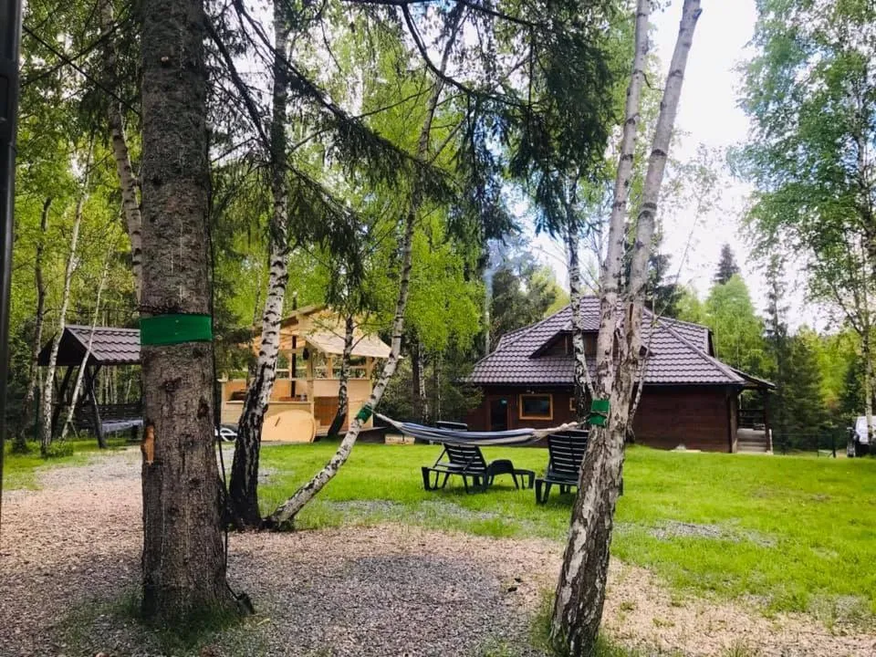 Image 2 of Cabana din padurea Belis si casuta din copac