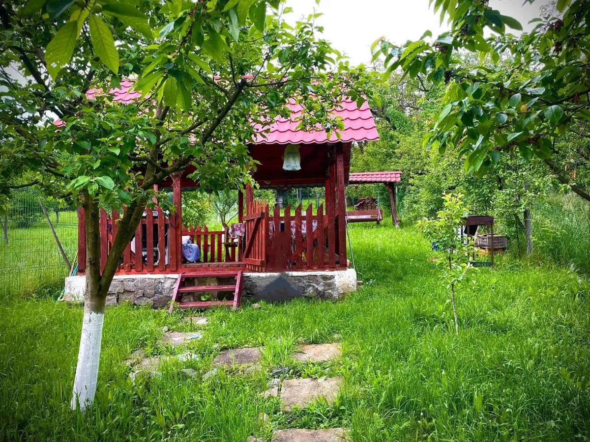 Image 5 of Casa Teresa