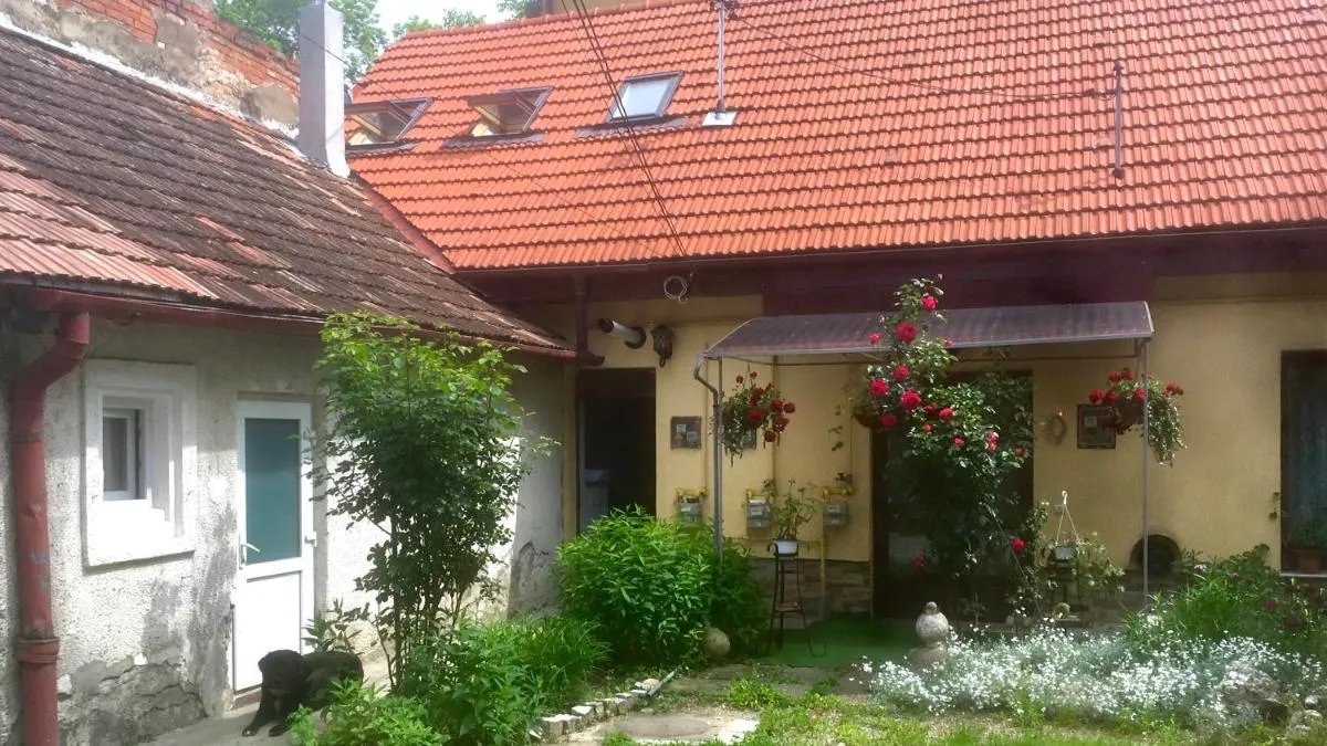 Image 5 of Central apartment- Shumi’s