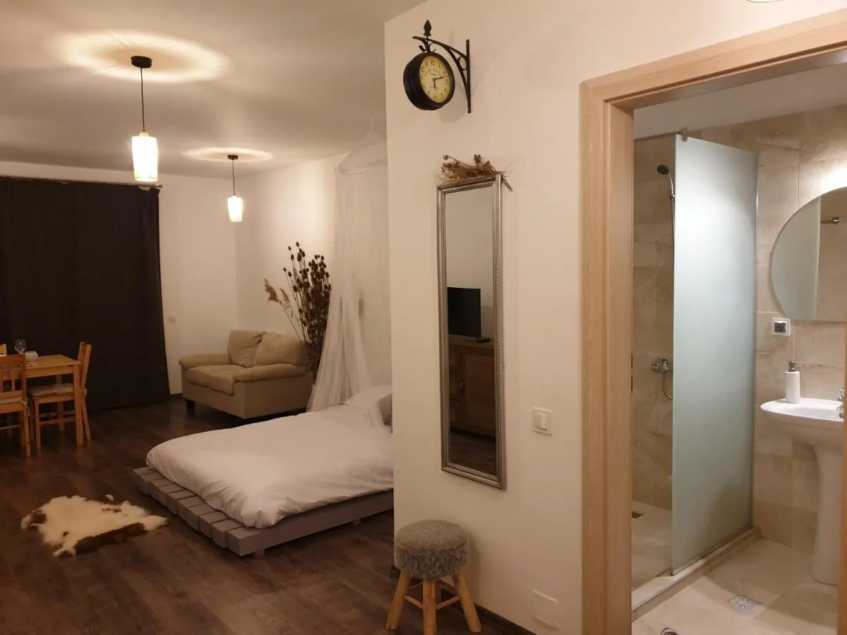 Image 2 of Cluj City Iris Appartment