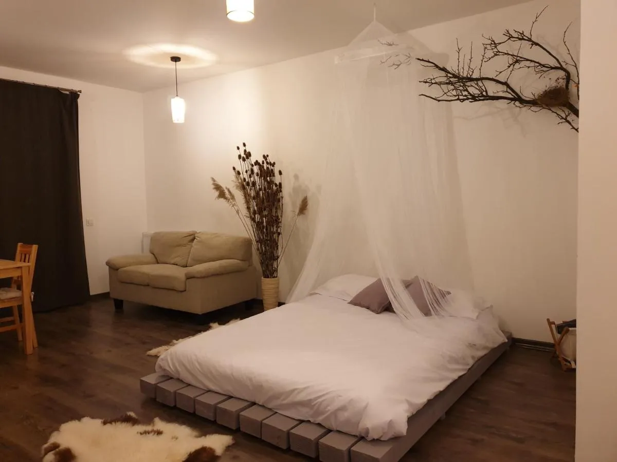 Image 6 of Cluj City Iris Appartment
