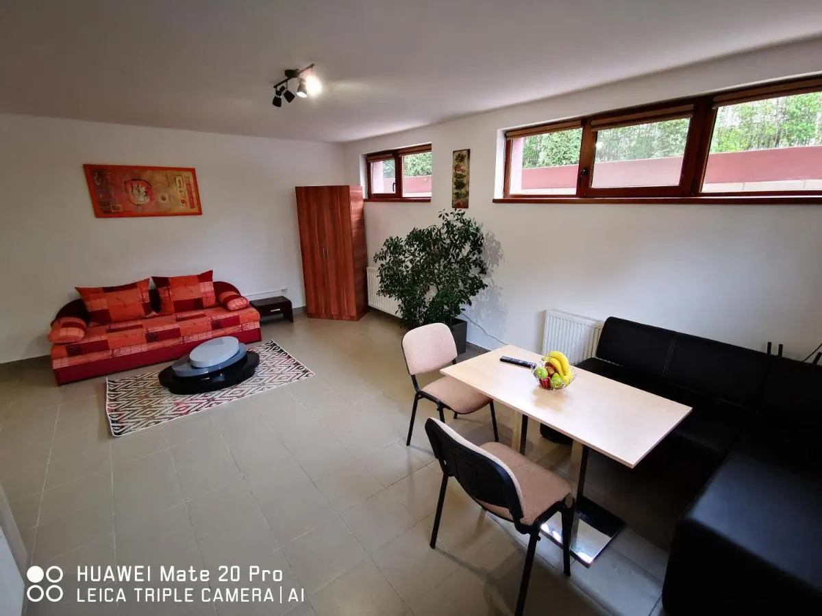 Image 3 of Cluj City Marasti Apartament 1