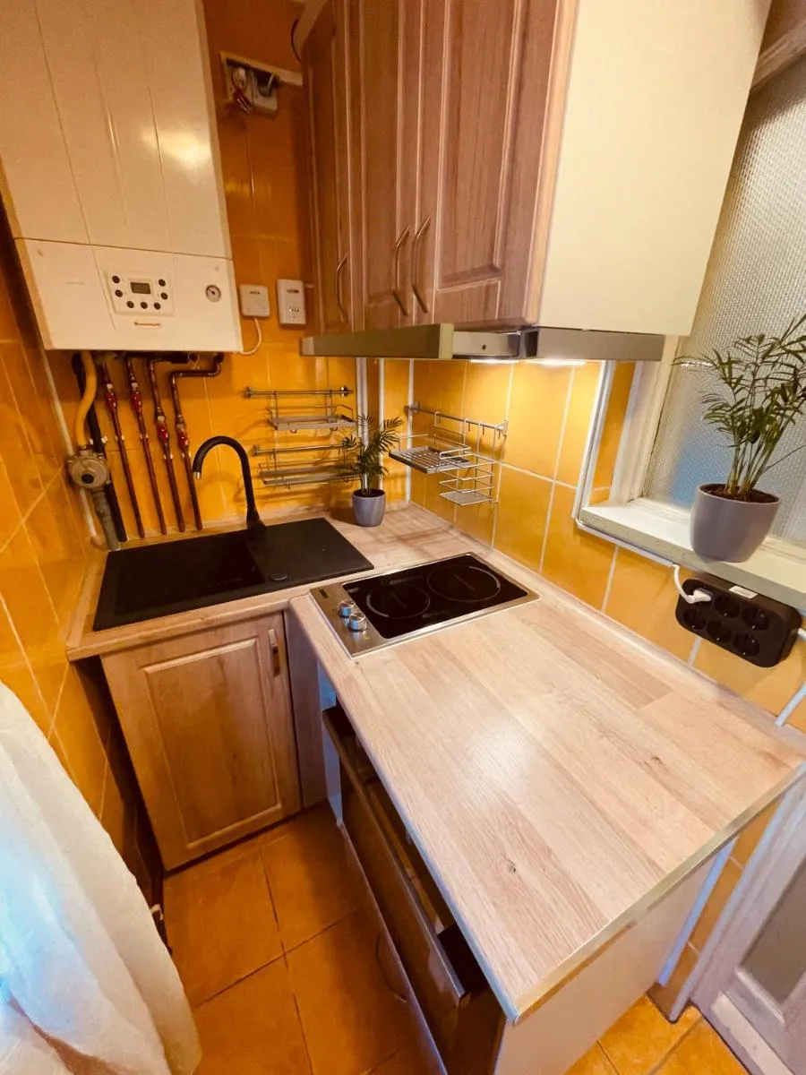 Image 3 of Cluj City Marasti Studio Andromeda