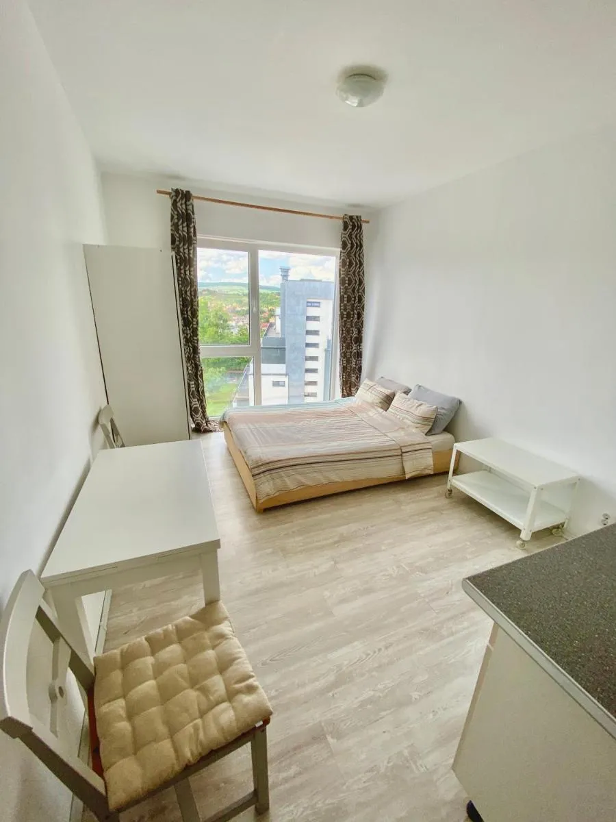 Image 1 of Cozy Studio near the center of Cluj