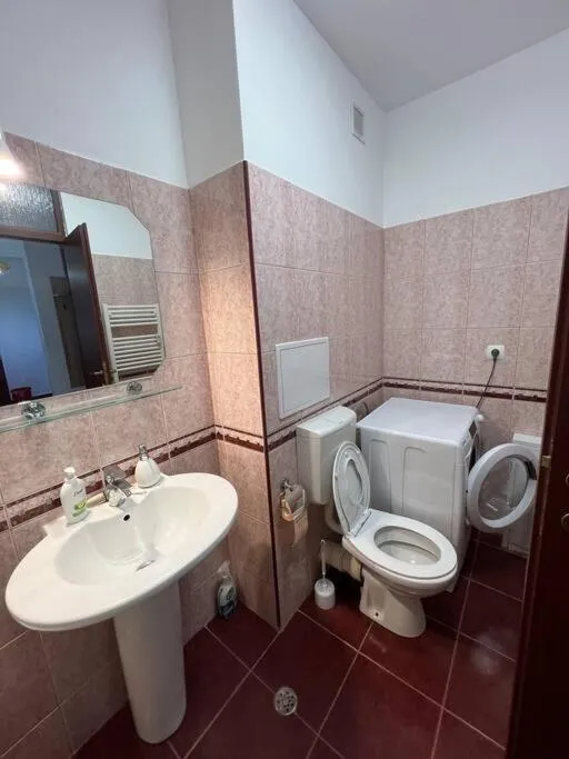 Image 5 of Cozy apartment in Marasti -Cluj