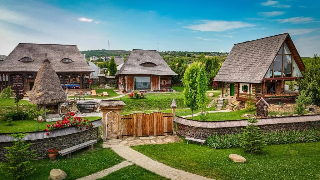 Image of Echoes of Vlădicu