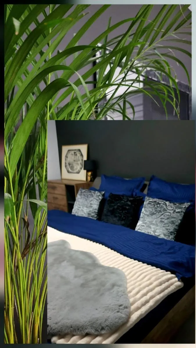 Image 3 of GLAMOUR Style Apartment
