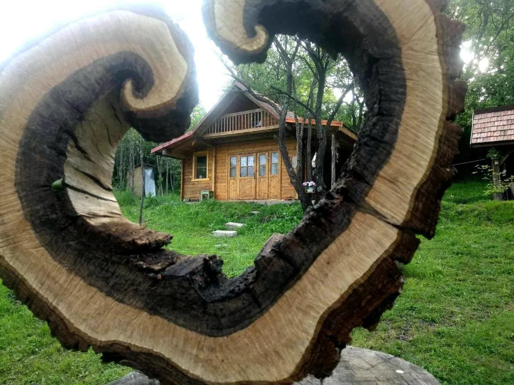 Image of Hidden Garden Kide (Chidea)