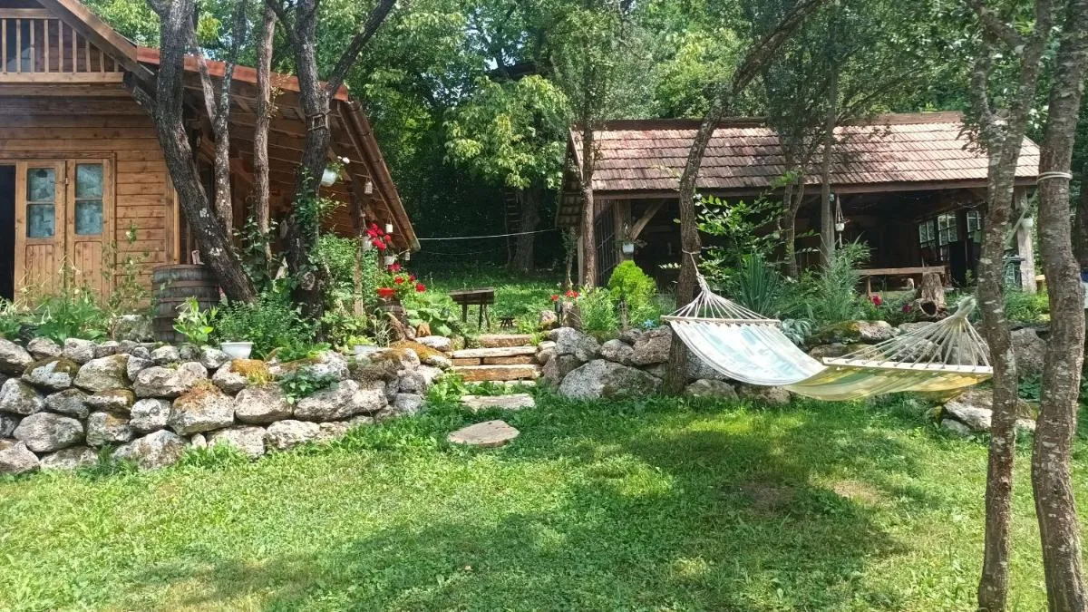 Image 5 of Hidden Garden Kide (Chidea)