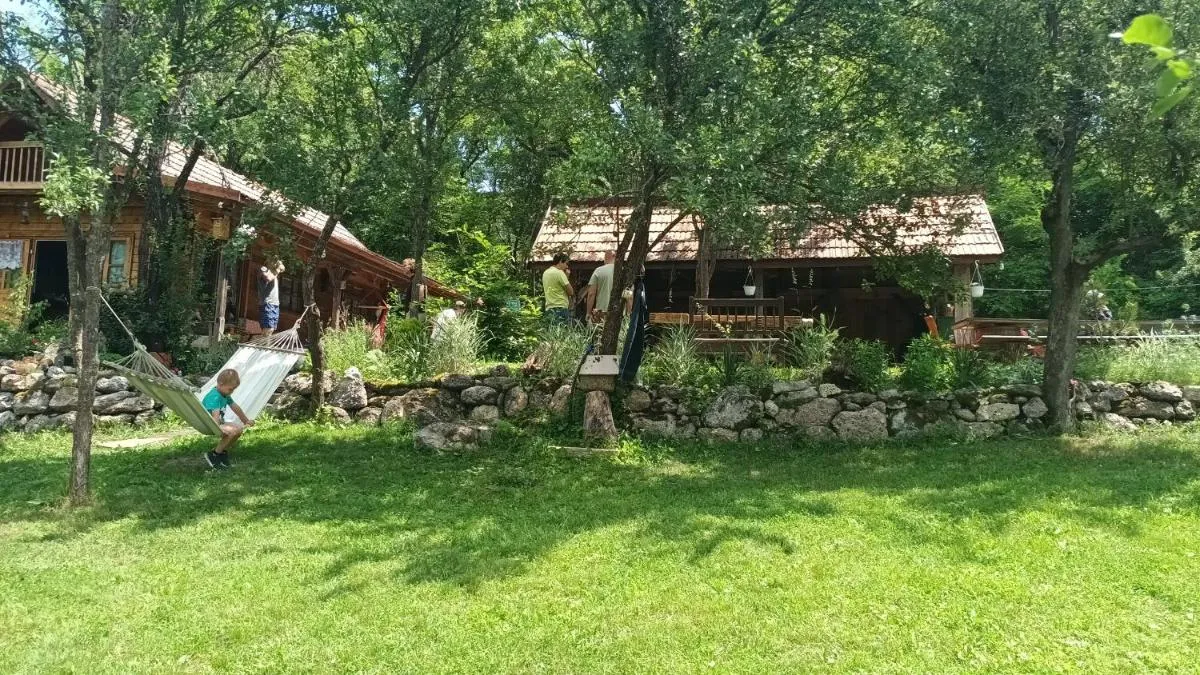 Image 4 of Hidden Garden Kide (Chidea)
