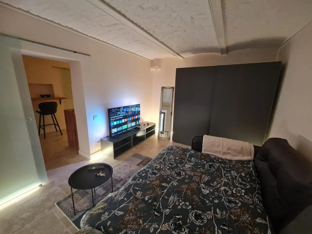 Image 6 of Historical ultracentral apartment
