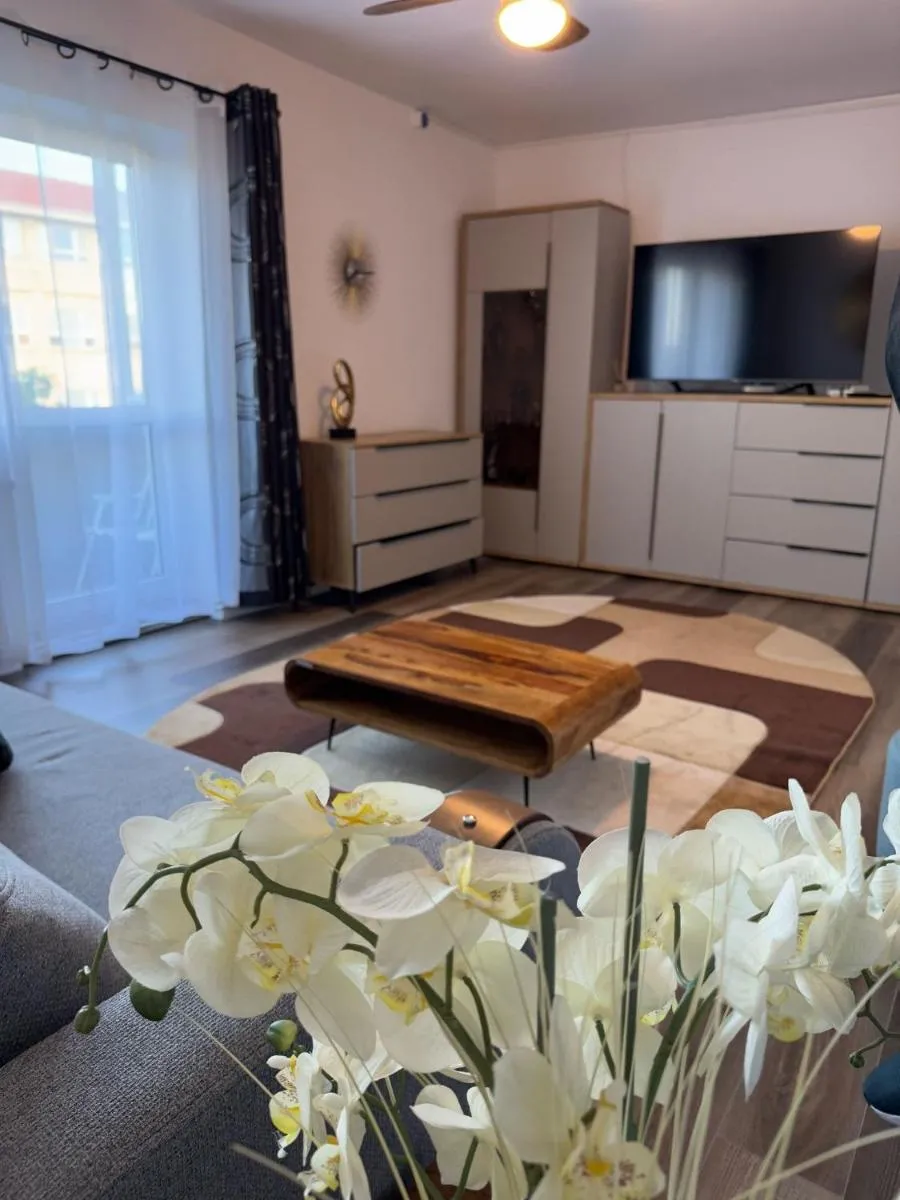 Image 5 of Home Away From Home – Zorilor