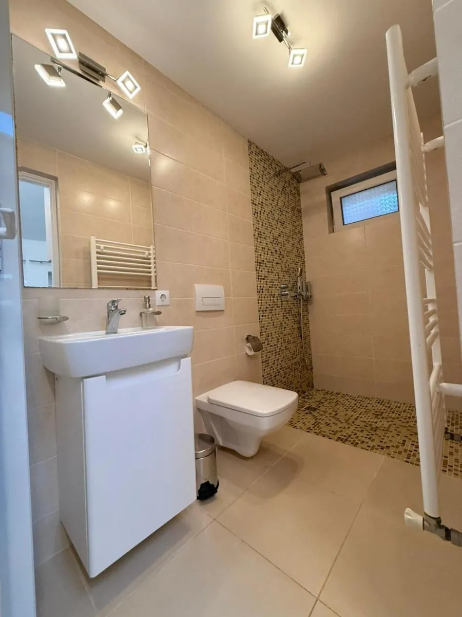 Image 4 of La casa Decebal- centru Cluj