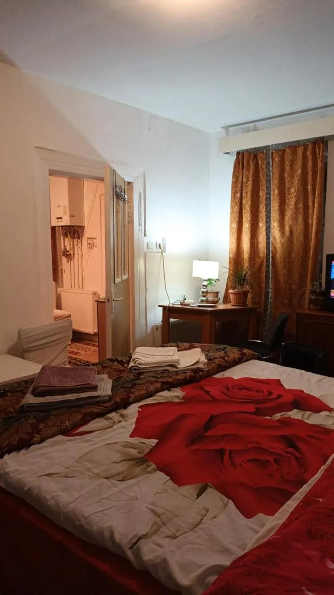 Image 5 of Liberty Apartment