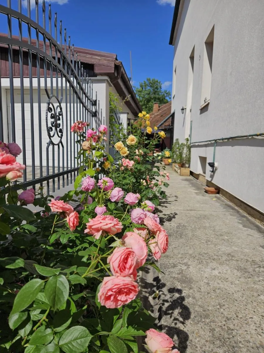 Image 5 of Maison Lulù