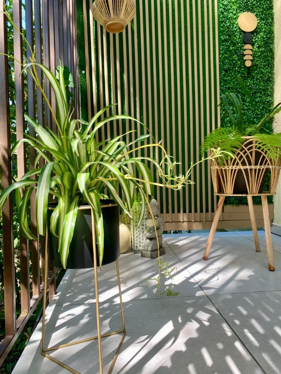 Image 4 of Maya Apartment