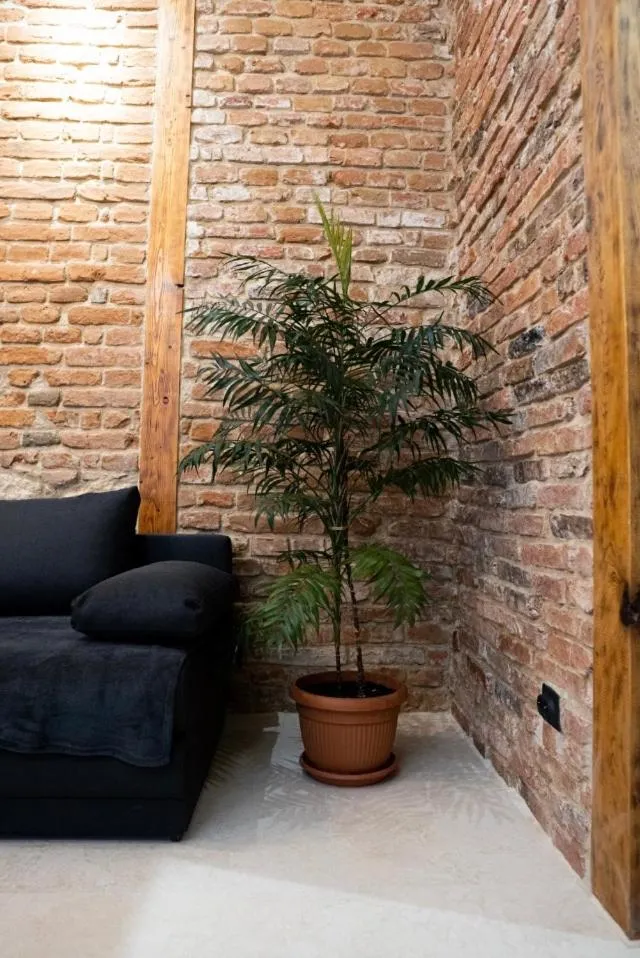 Image 2 of Napoca Brick&Barrel