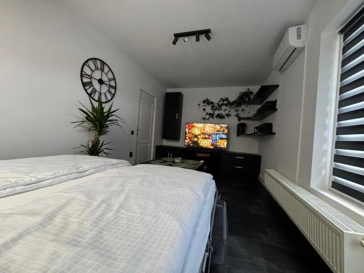Image 1 of Panda Apartment Zorilor