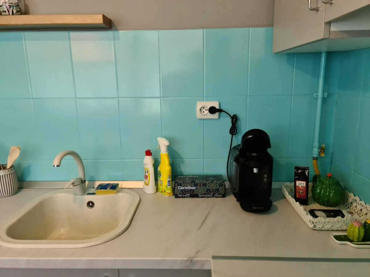 Image 2 of Zorilor Cactus Apartment